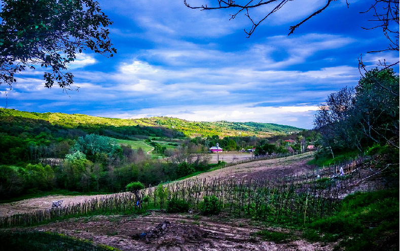 Tabara din Sat